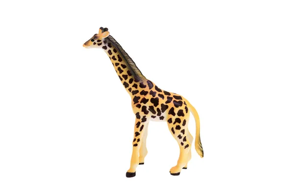 Plastic Speelgoed Giraffe Geïsoleerd Witte Achtergrond — Stockfoto