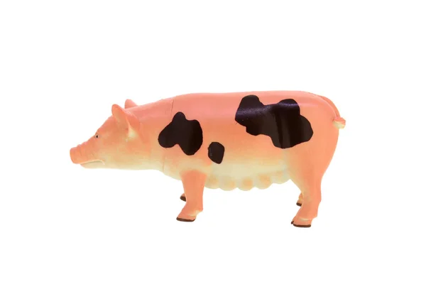 Plástico Brinquedo Porco Isolado Sobre Fundo Branco — Fotografia de Stock