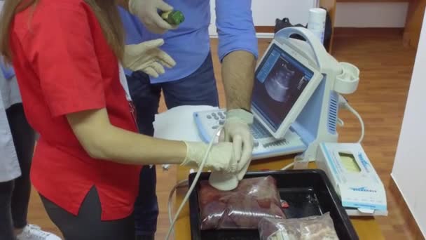 Studentin Übt Ultraschalluntersuchung — Stockvideo