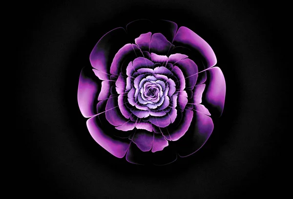黒い背景に抽象花計算生成されたイメージ — ストック写真