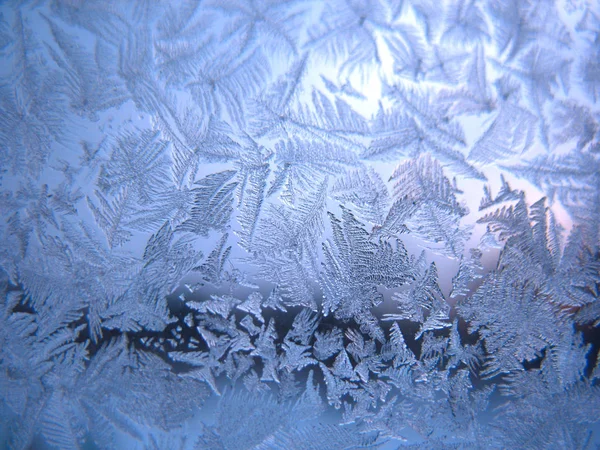 Questo Modello Gelido Sulla Finestra Vetro Inverno — Foto Stock