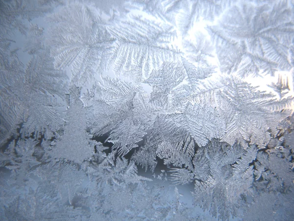 Questo Modello Gelido Sulla Finestra Vetro Inverno — Foto Stock