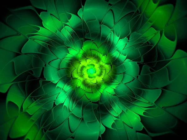 Abstrakte Blume fraktale Form — Stockfoto