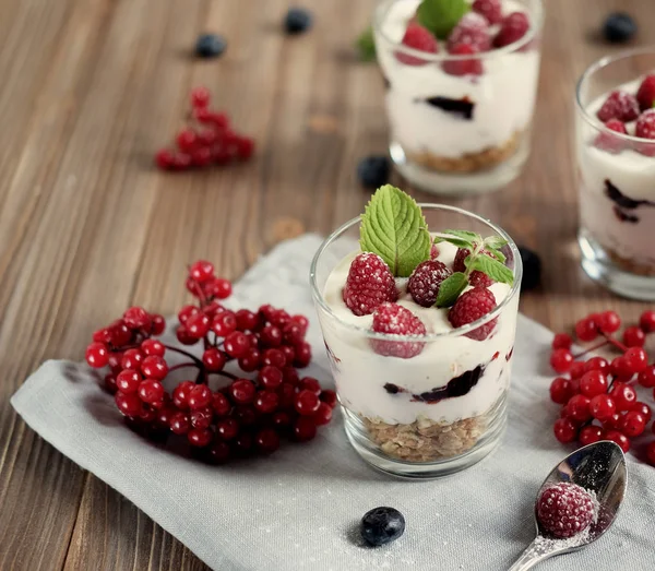 Taze böğürtlen ve müsli ile birlikte doğal yoğurt. Sağlıklı tatlı..
