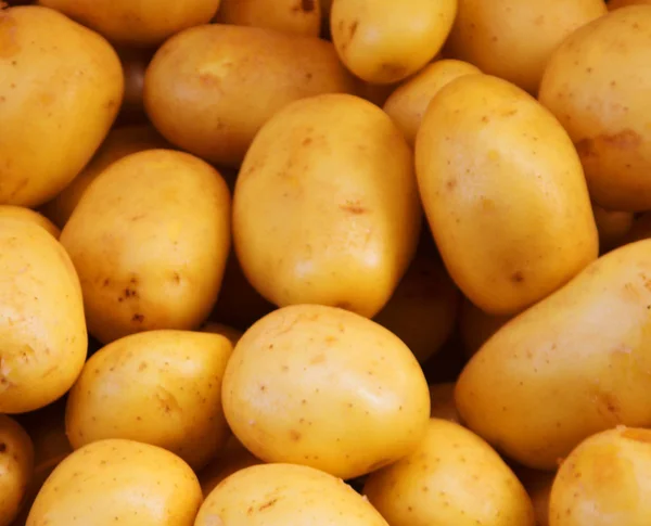 Big bunch of natural potatoes at market