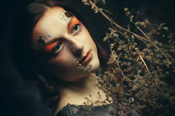 Concepto de belleza y arte: mujer con maquillaje brillante con ramas secas, sesión de estudio —  Fotos de Stock