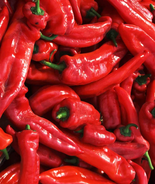 Mnoho pikantní červené papriky — Stock fotografie