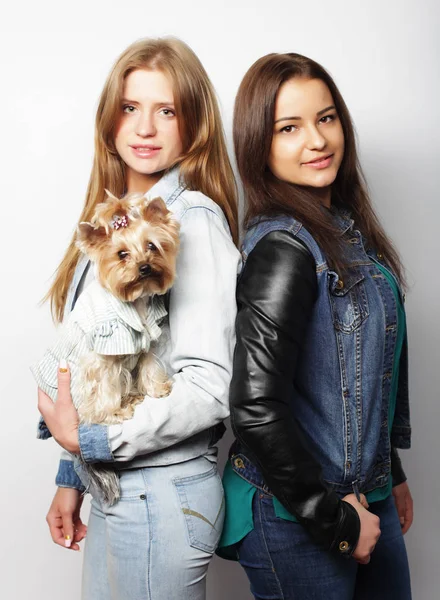 Style de vie et concept de personnes : Deux jeunes amies debout ensemble et tenant le chien — Photo