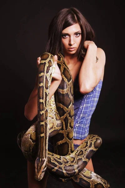 Sexy brunette holding python — Stock Photo, Image