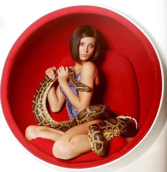 Žena v červené křeslo holdung Pythonu — Stock fotografie