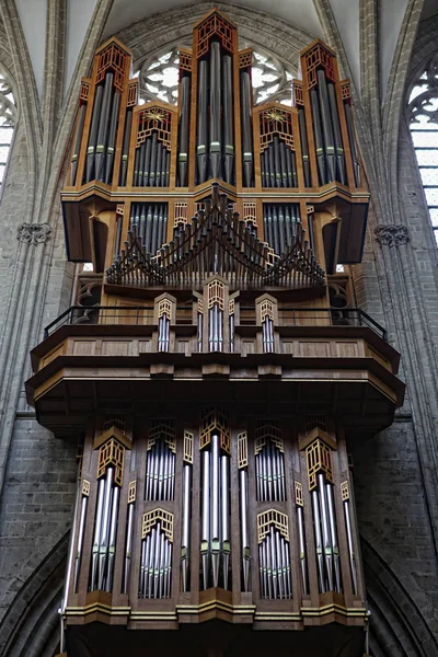 Pipe organ in interieur Sint-Michiel en St. Gudula Cathedral, — Stockfoto