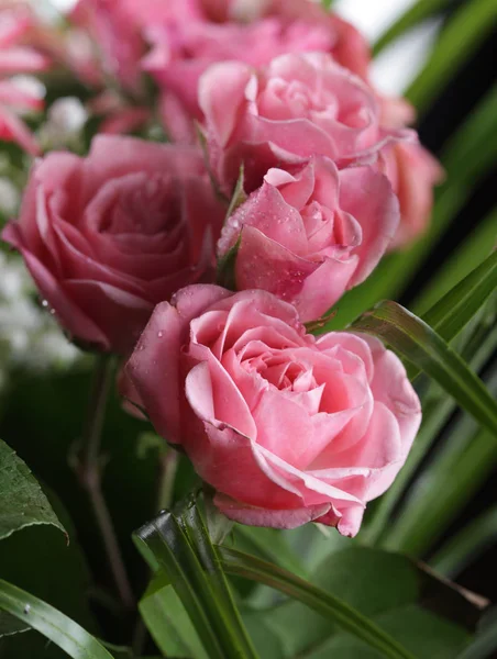 Vacker bukett av rosa och vita blommor — Stockfoto