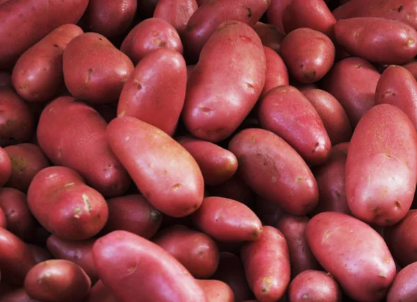 Big bunch of natural potatoes at market — Stock Photo, Image