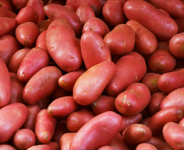 Big bunch of natural potatoes at market — Stock Photo, Image