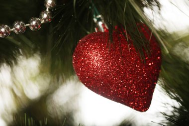 Noel süsleri gerçek ağacında yakın çekim