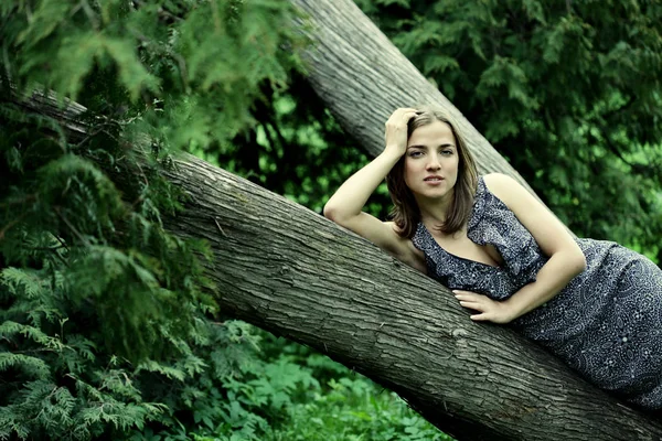 Jovem mulher em uma árvore — Fotografia de Stock