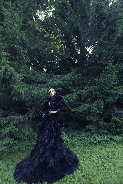 Σκοτάδι βασίλισσα στο πάρκο — Φωτογραφία Αρχείου
