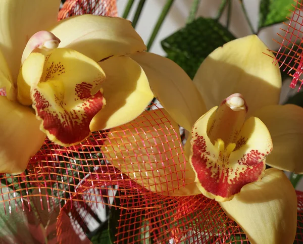 Beautiful bouquet of yellow orchids Stock Photo