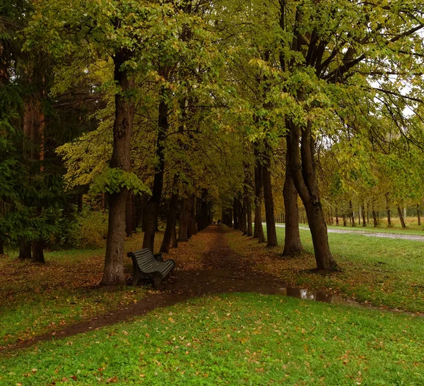 Bänk i höstparken — Stockfoto