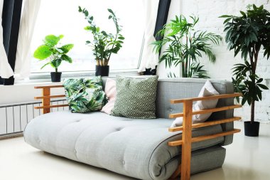 odada çiçek yanında kanepe