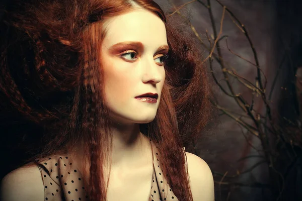 Concepto de belleza y arte: Mujer joven con maquillaje brillante con ramas secas — Foto de Stock