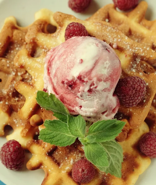 Пластина бельгійські вафлі з морозиво і свіжі ягоди — стокове фото