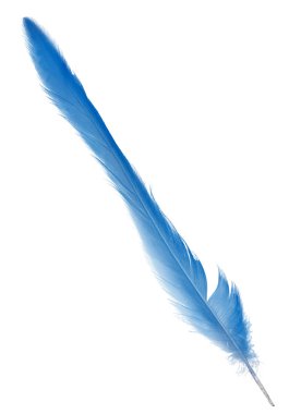 Kabarık tüy beyaz arkaplanda izole edildi