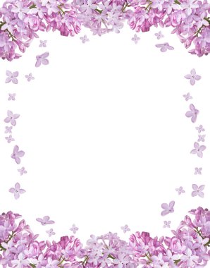 Beyaz arka plan üzerinde izole ışık çiçek leylak çerçeve