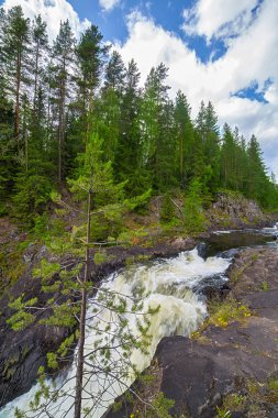 kayalar ile yeşil orman Nehri