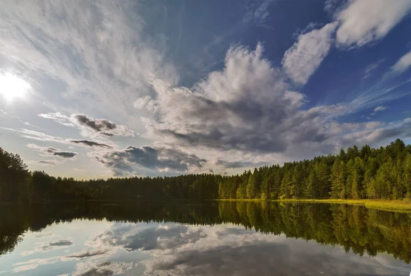 Зеленый Летний Пейзаж Небольшим Озером Лесом — стоковое фото