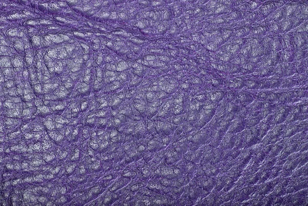 Fialová Kůže Textury Makro Pozadí — Stock fotografie