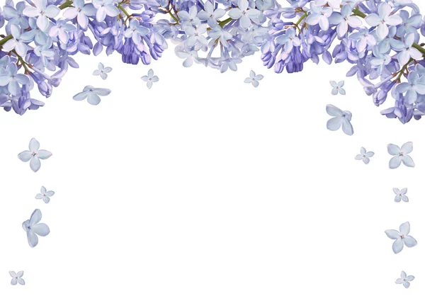 Light Lilac Flower Half Frame Isolated White Background — Stock Photo, Image