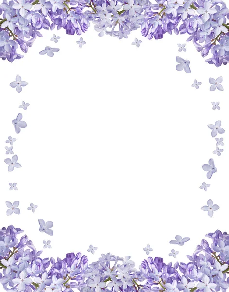 Light Lilac Flower Frame Isolated White Background — Stock Photo, Image