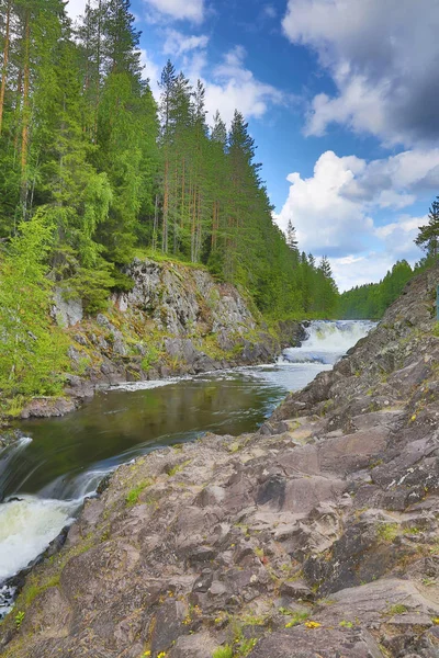 Rzeki Między Skały Zielonego Lasu — Zdjęcie stockowe