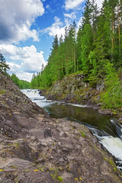 Ποτάμι Ανάμεσα Βράχους Καταπράσινο Δάσος — Φωτογραφία Αρχείου