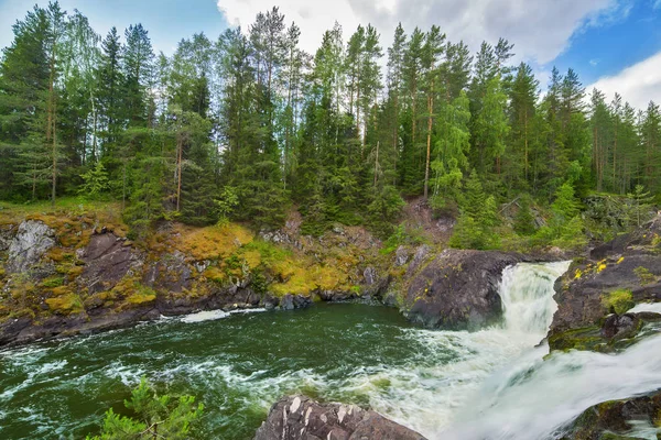 River Rocks Green Forest Royalty Free Stock Images