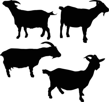 Beyaz arkaplanda izole edilmiş keçi seti ile illüstrasyon