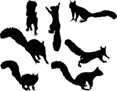 illüstrasyon izole beyaz zemin üzerine yedi sincaplarla