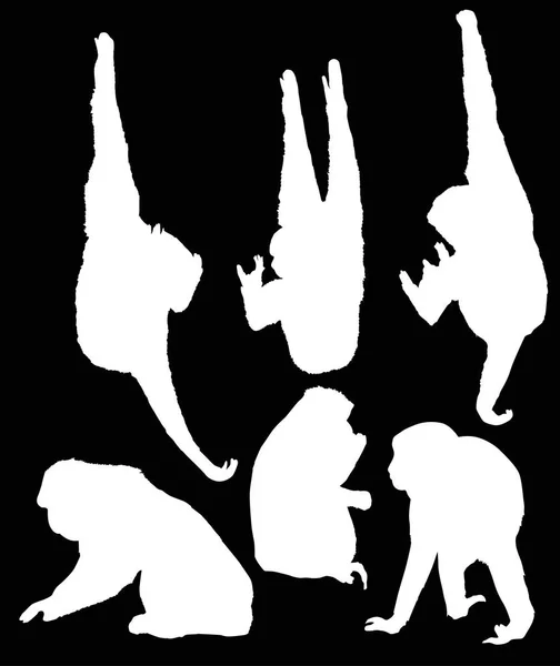 Siyah Arkaplanda Izole Edilmiş Farklı Maymun Siluetlerine Sahip Resimler — Stok Vektör