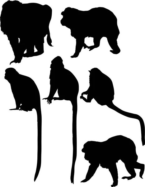 Illustration Different Monkey Silhouettes Isolated White Background — Stock Vector