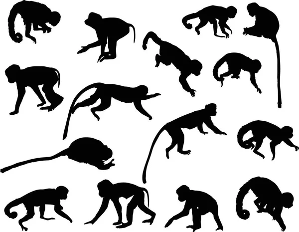 Ilustrace Různými Opice Siluety Izolované Bílém Pozadí — Stockový vektor