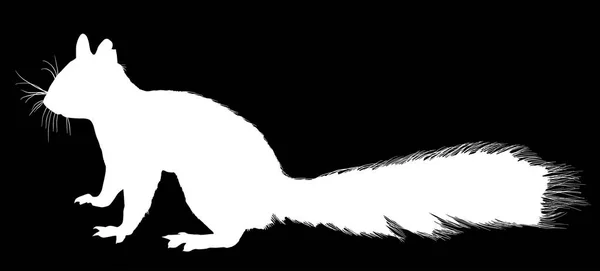 Illustration Mit Eichhörnchen Isoliert Auf Schwarzem Hintergrund — Stockvektor