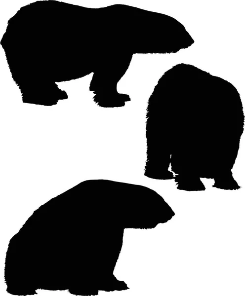 Ilustração Com Silhuetas Urso Isoladas Fundo Branco — Vetor de Stock