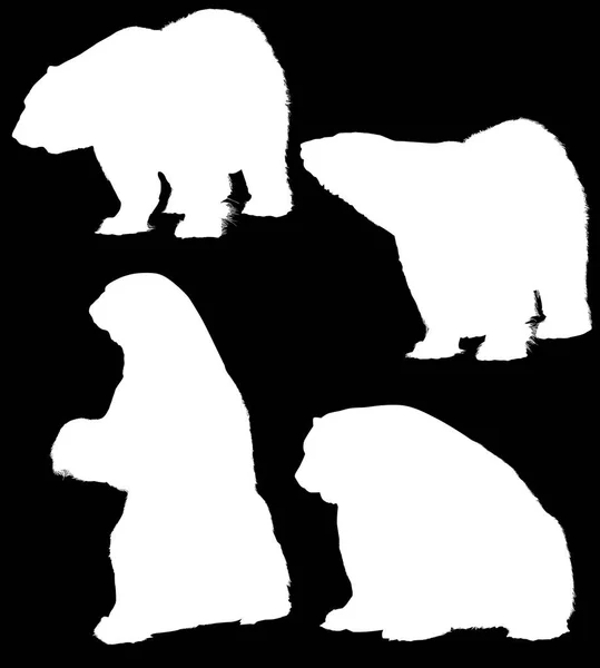 Ilustração Com Silhuetas Urso Isoladas Fundo Preto —  Vetores de Stock