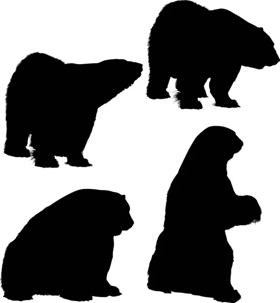 Ilustração Com Silhuetas Urso Isoladas Fundo Branco —  Vetores de Stock
