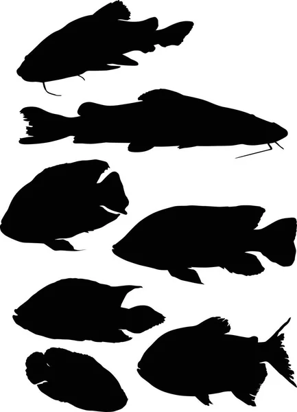 Illustrazione Con Serie Sagome Pesce Isolate Sfondo Bianco — Vettoriale Stock
