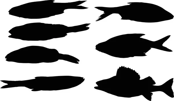 Ilustración Con Conjunto Siluetas Pescado Aisladas Sobre Fondo Blanco — Vector de stock