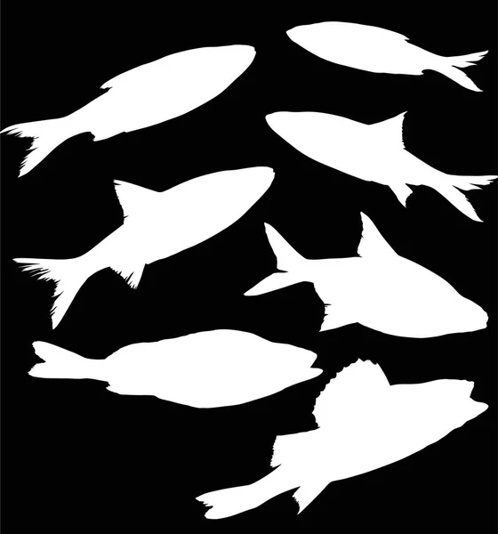 Illustration Set Fish Silhouettes Isolated Black Background — Stock Vector