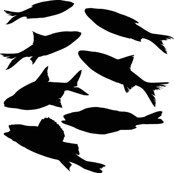 Ilustrace Sadou Rybích Siluet Izolovaných Bílém Pozadí — Stockový vektor