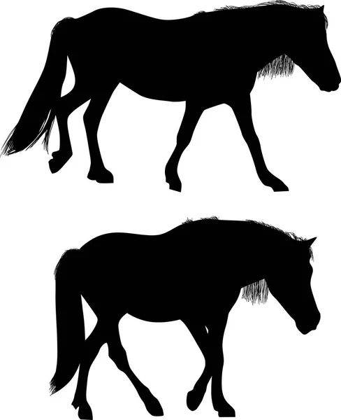 Ilustrasi Dengan Dua Kuda Terisolasi Pada Latar Belakang Putih - Stok Vektor
